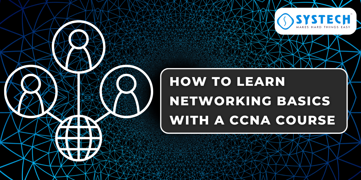 learn networking basics