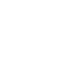 Software Testing